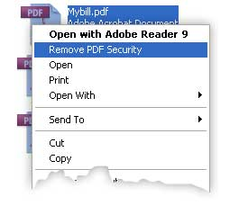 โปรแกรมปลดล็อครหัส PDF
