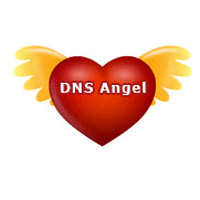 Dns angel что это