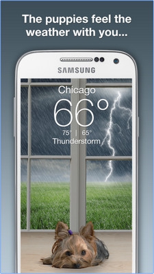 App หมาน้อยพยากรณ์อากาศ Weather Puppy