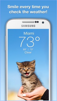 App  แมวพยากรณ์อากาศ Weather Kitty
