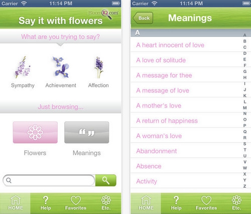 App ส่งข้อความ บอกรัก Say it with Flowers