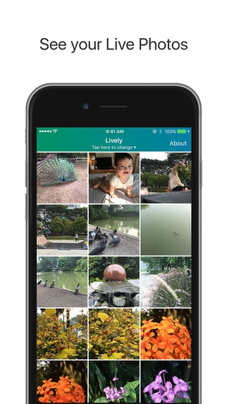 App แปลง Live Photo เป็น GIF Lively