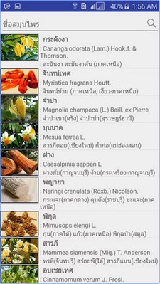 App รวมข้อมูลสมุนไพรไทย Thai Herbs