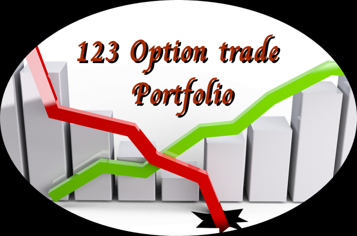 123 Option trade portfolio (โปรแกรมบันทีกผลการเทรดหุ้น ปี 63)