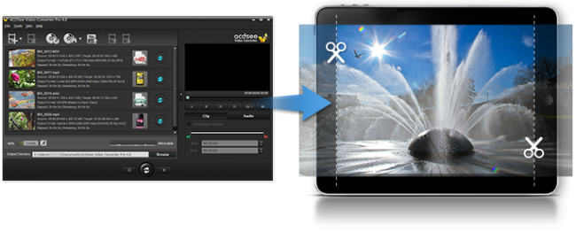 โปรแกรมแปลงไฟล์วิดีโอ ACDSee Video Converter Pro